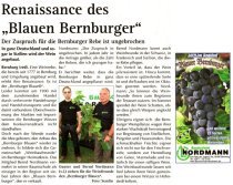Pressebeitrag 'Renaissance des Blauen Bernburger' Wochenspiegel 02.09.2009